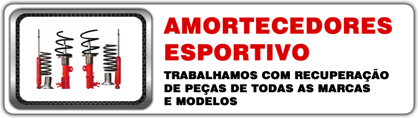 AMORTECEDORES ESPORTIVO